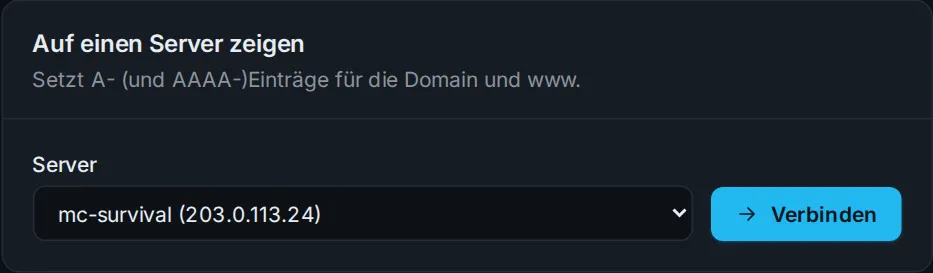 Domain auf einen Server zeigen lassen
